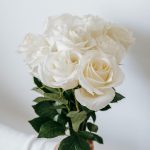 pexels-teona-swift-6913830